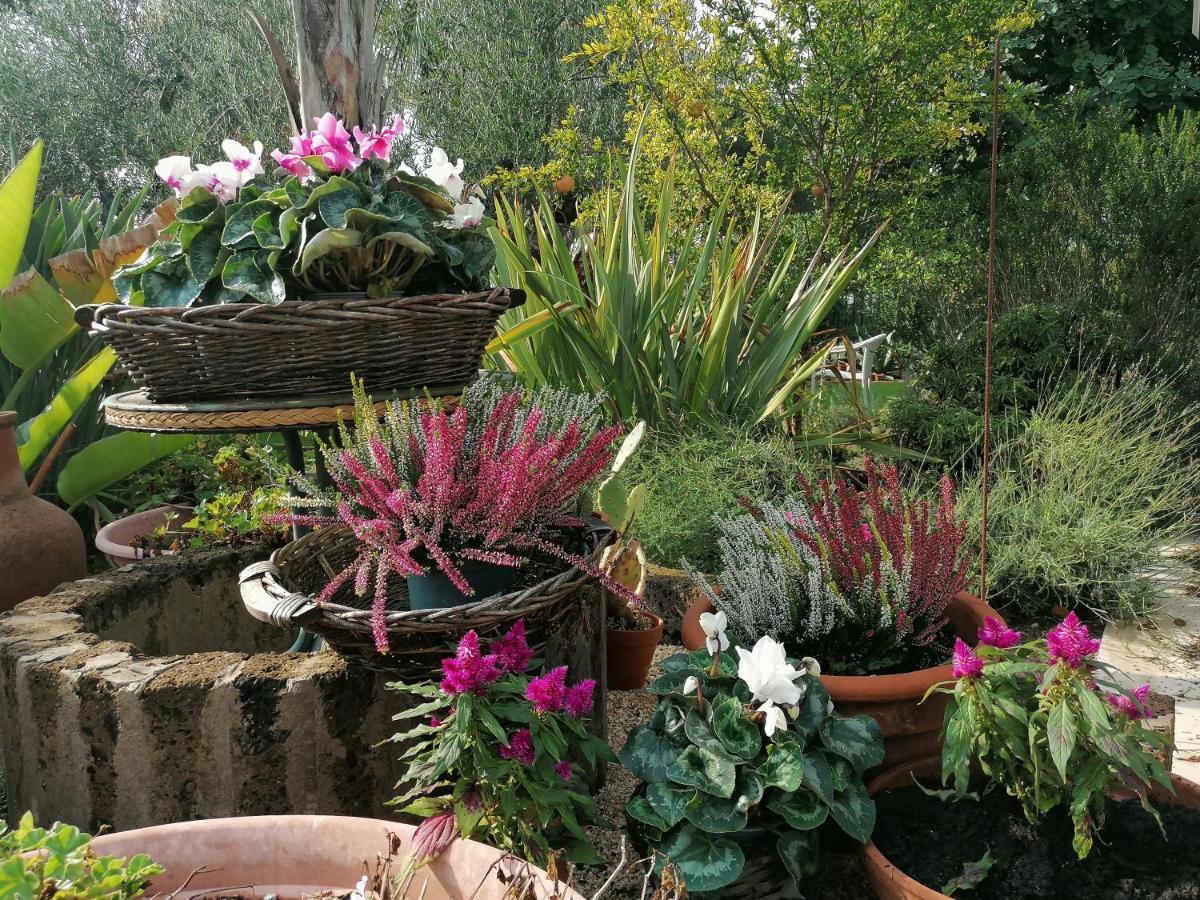 מלון בארלטה Il Giardino Del Te מראה חיצוני תמונה