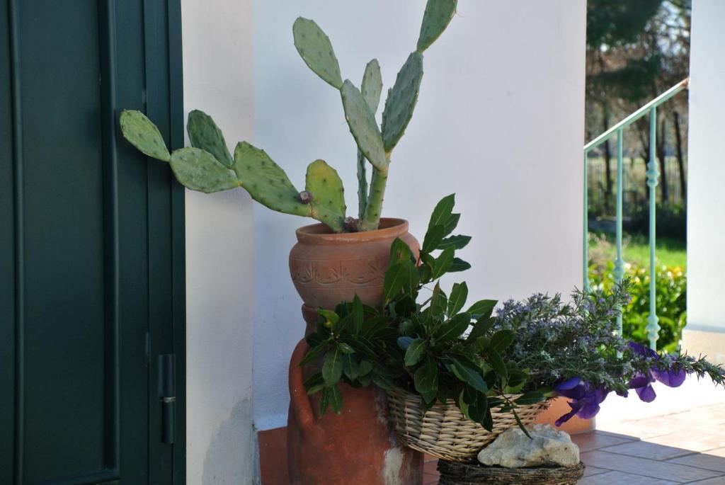 מלון בארלטה Il Giardino Del Te חדר תמונה