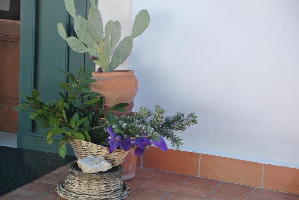 מלון בארלטה Il Giardino Del Te מראה חיצוני תמונה